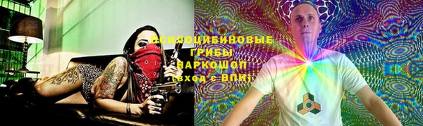 твердый Пестово