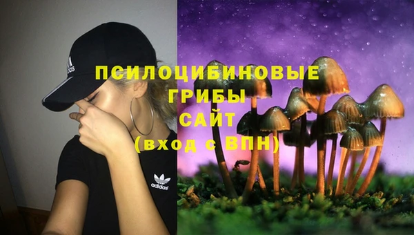 твердый Пестово