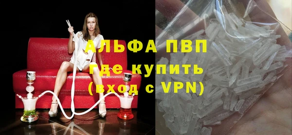 гидра Гусев