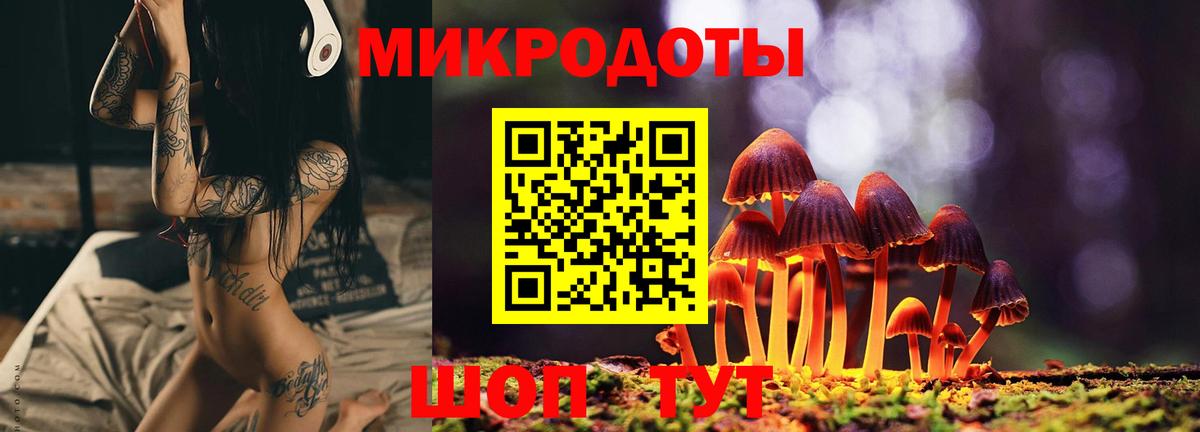 Галлюциногенные грибы мицелий Сальск